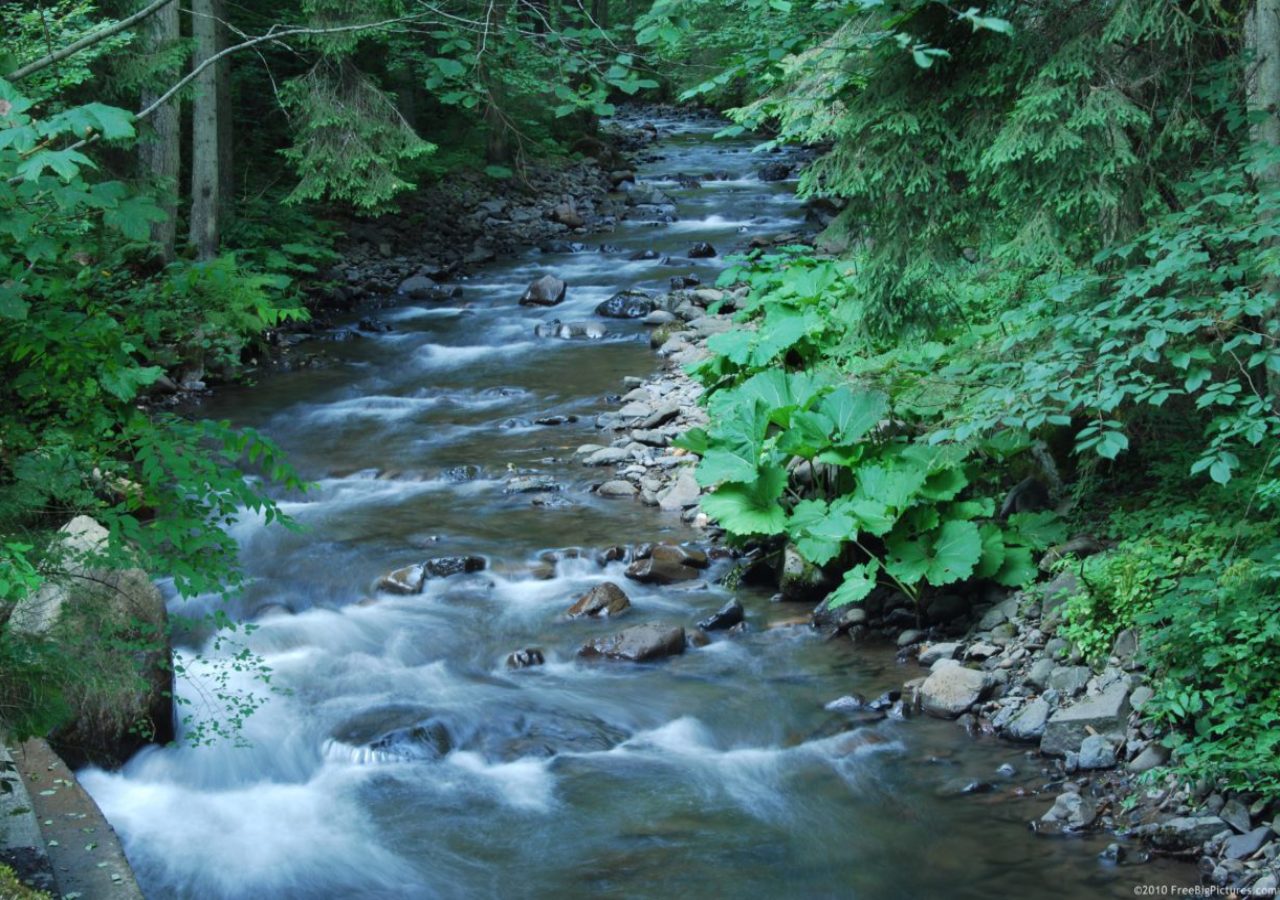 DEEP water and a flowing BROOKE